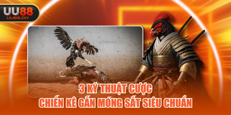 3 kỹ thuật cược chiến kê gắn móng sắt siêu chuẩn