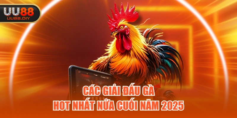 Các giải đấu gà hot nhất nửa cuối năm 2025