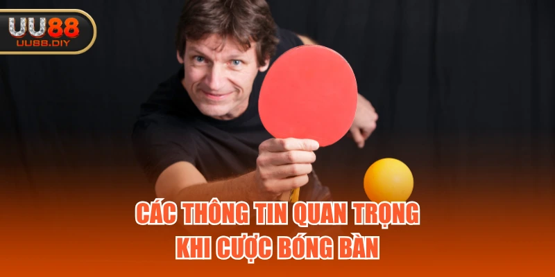 Các thông tin quan trọng khi cược bóng bàn