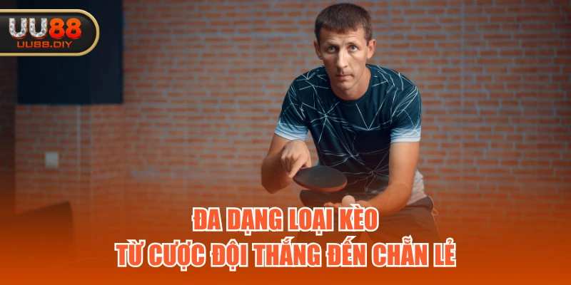 Đa dạng loại kèo từ cược đội thắng đến chẵn lẻ