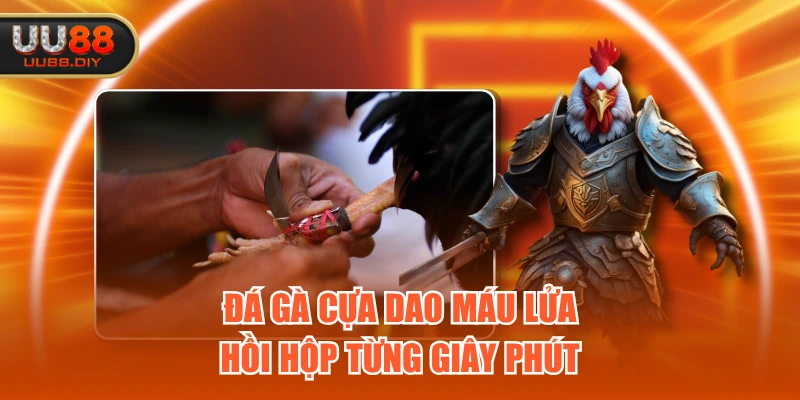 Đá gà cựa dao máu lửa hồi hộp từng giây phút