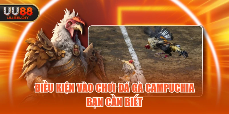 Điều kiện vào chơi đá gà Campuchia bạn cần biết