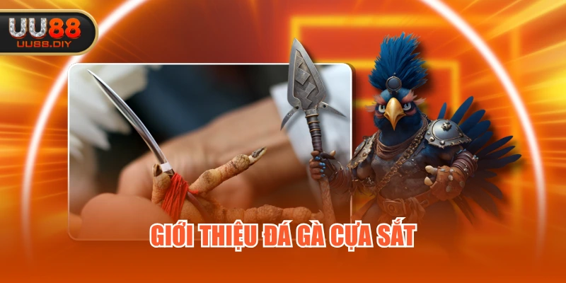Giới thiệu đá gà cựa sắt