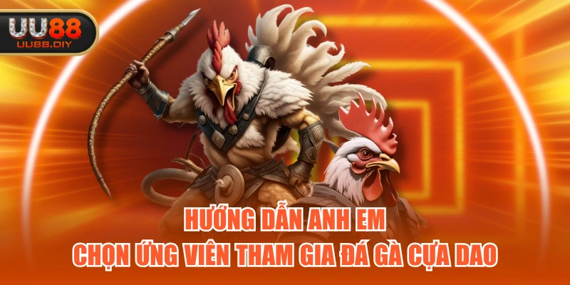 Hướng dẫn anh em chọn ứng viên tham gia đá gà cựa dao
