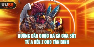 Hướng Dẫn Cược Đá Gà Cựa Sắt Từ A Đến Z Cho Tân Binh