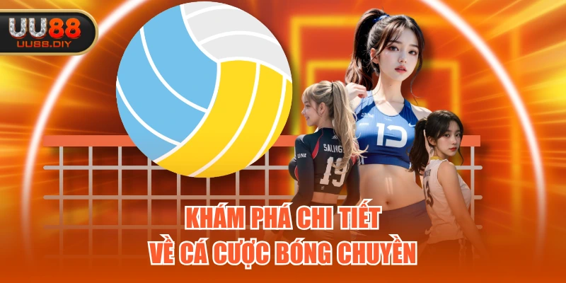 Khám phá chi tiết về cá cược bóng chuyền
