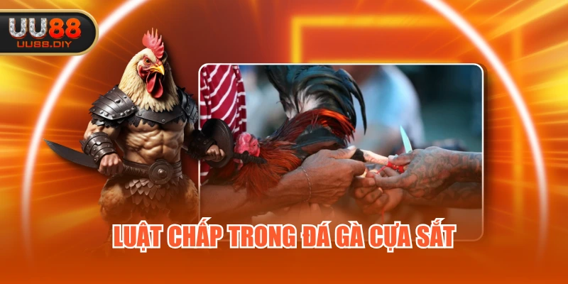 Luật chấp trong đá gà cựa sắt