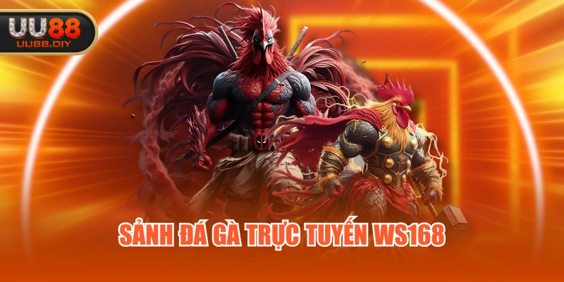 Sảnh đá gà trực tuyến WS168