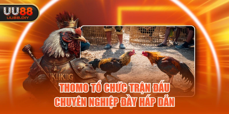 Thomo tổ chức trận đấu chuyên nghiệp đầy hấp dẫn