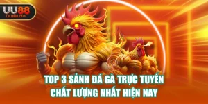 Top 3 Sảnh Đá Gà Trực Tuyến Chất Lượng Nhất Hiện Nay