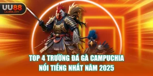 Top 4 Trường Đá Gà Campuchia Nổi Tiếng Nhất Năm 2025