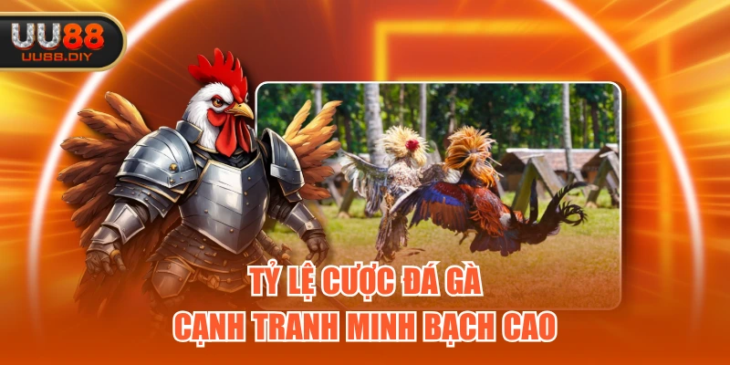 Tỷ lệ cược đá gà cạnh tranh minh bạch cao
